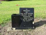 image of grave number 969650